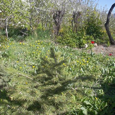 Issyk-Kul - Camping Grigoryevka Otel Grigor'yevka Dış mekan fotoğraf