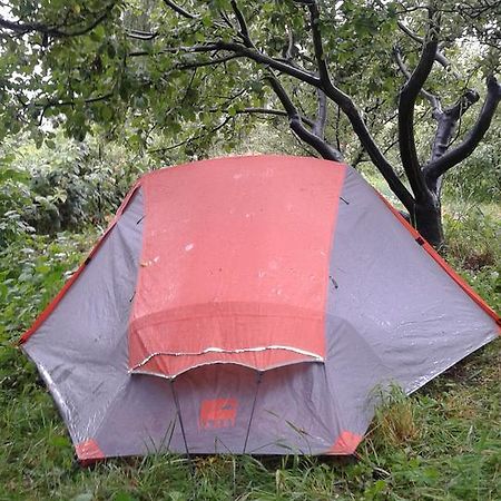 Issyk-Kul - Camping Grigoryevka Otel Grigor'yevka Dış mekan fotoğraf