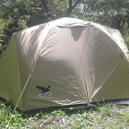 Issyk-Kul - Camping Grigoryevka Otel Grigor'yevka Dış mekan fotoğraf