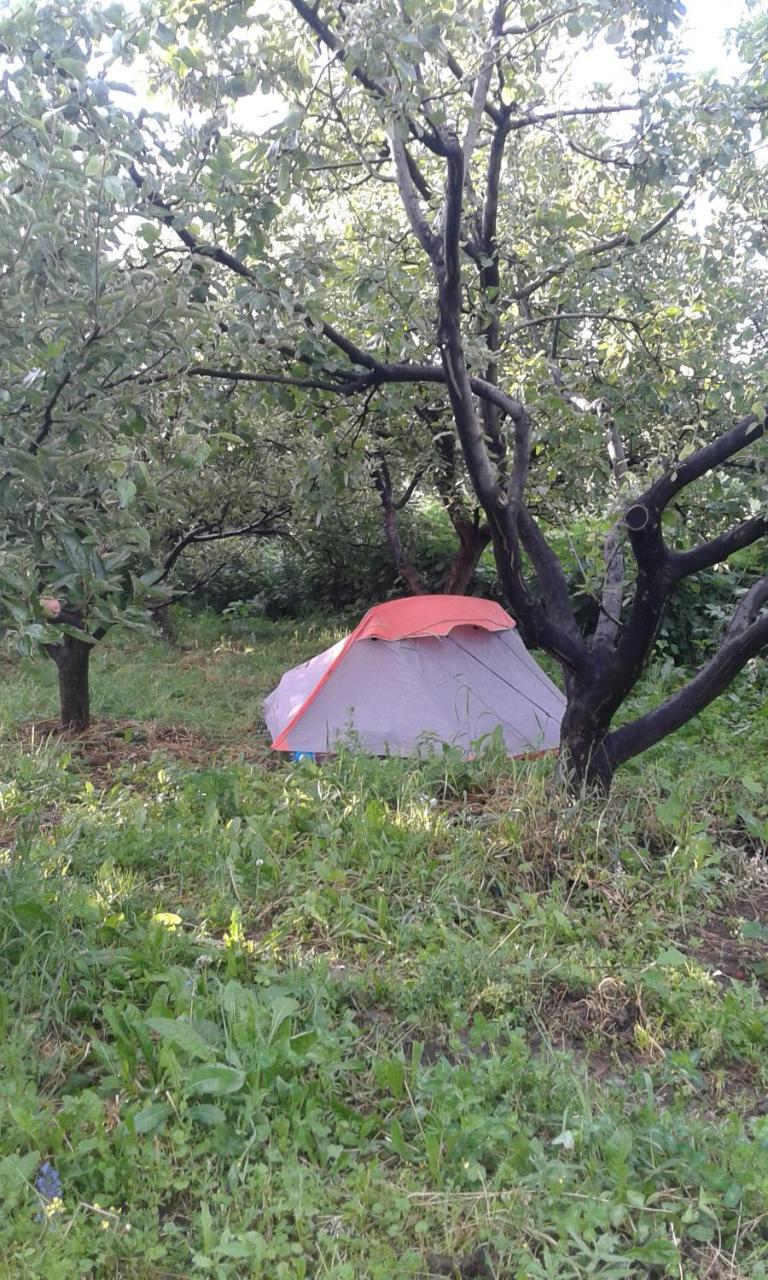 Issyk-Kul - Camping Grigoryevka Otel Grigor'yevka Dış mekan fotoğraf