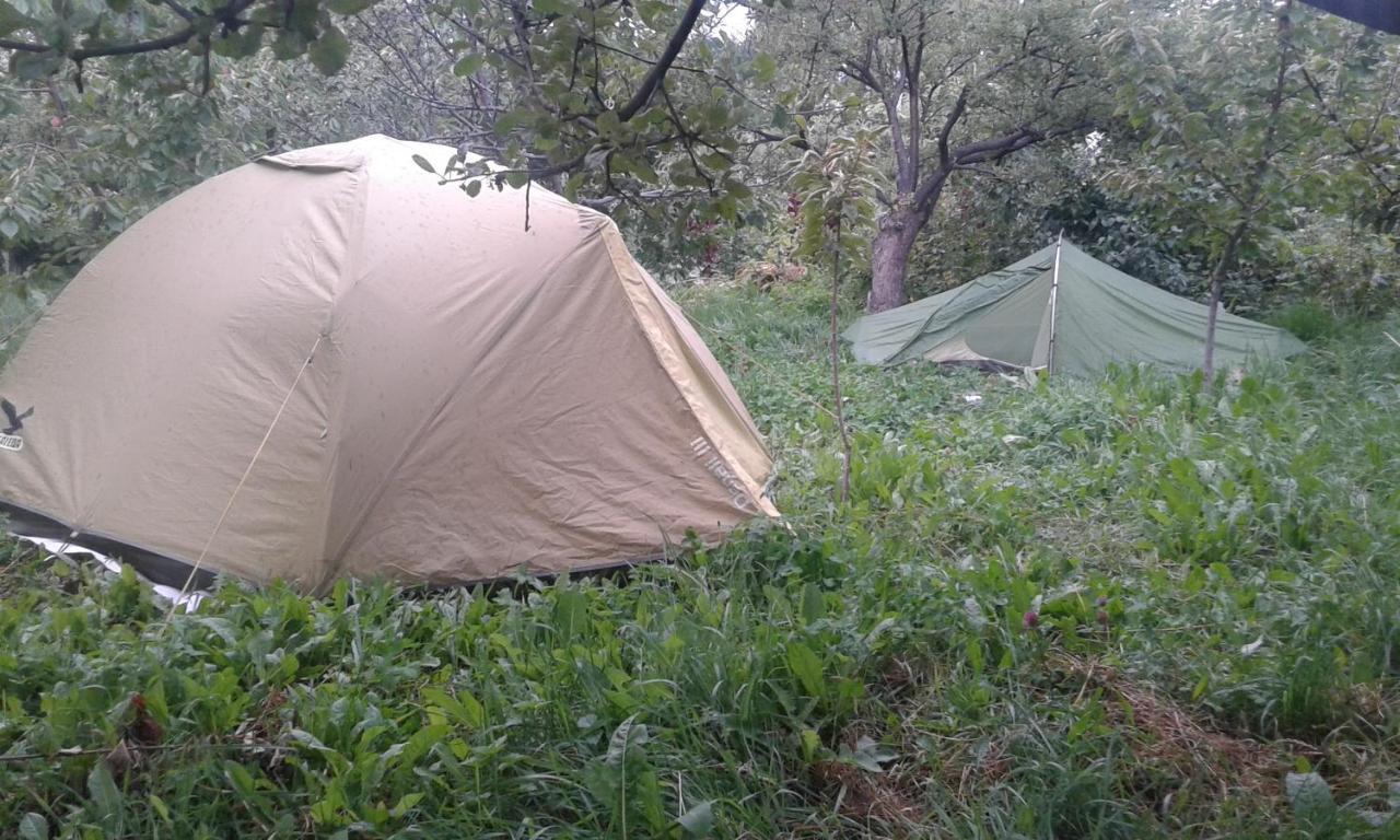Issyk-Kul - Camping Grigoryevka Otel Grigor'yevka Dış mekan fotoğraf