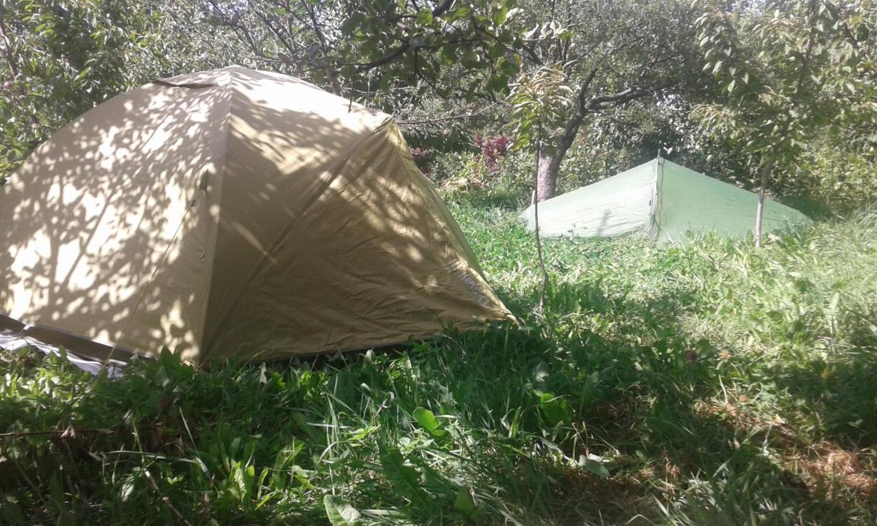 Issyk-Kul - Camping Grigoryevka Otel Grigor'yevka Dış mekan fotoğraf
